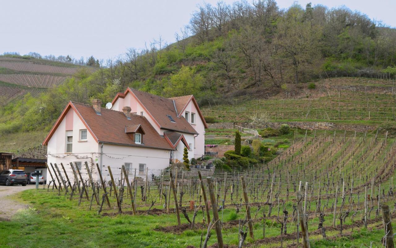 Les Glycines Du Sommerberg Niedermorschwihr Exterior photo