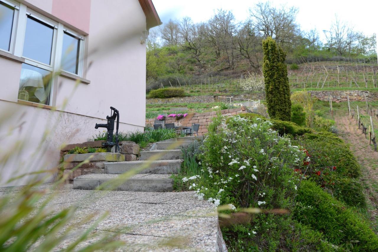 Les Glycines Du Sommerberg Niedermorschwihr Exterior photo