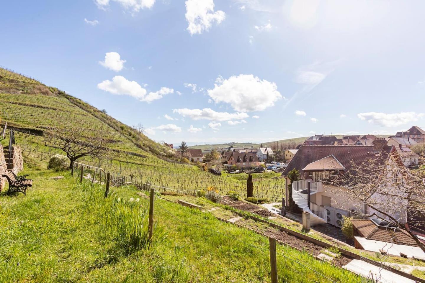 Les Glycines Du Sommerberg Niedermorschwihr Exterior photo